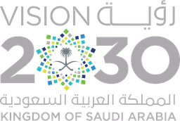 رؤية 2030
